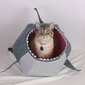トラ猫サメの猫画像