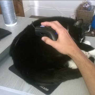 黒ハチワレマウスパッドの猫画像